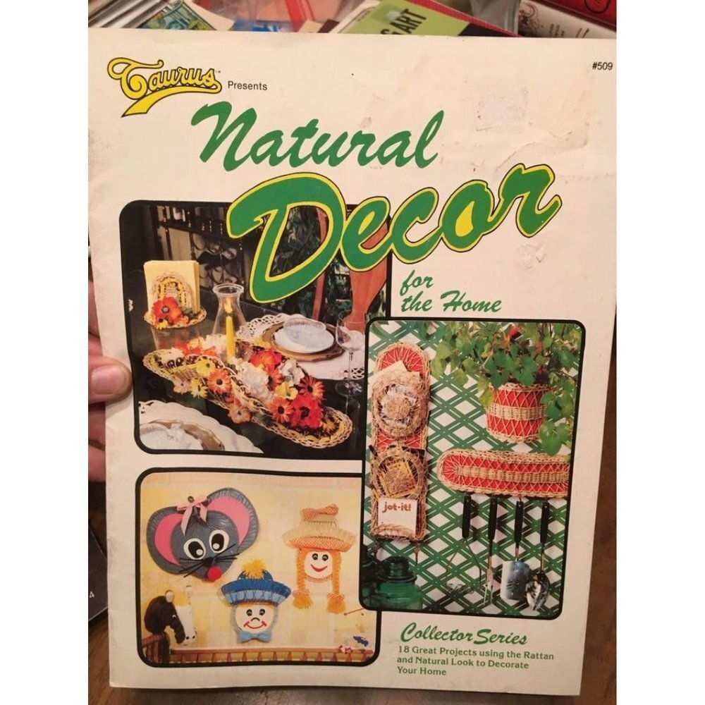 Vintage 1980 Natural Decor for the Home Craft Book